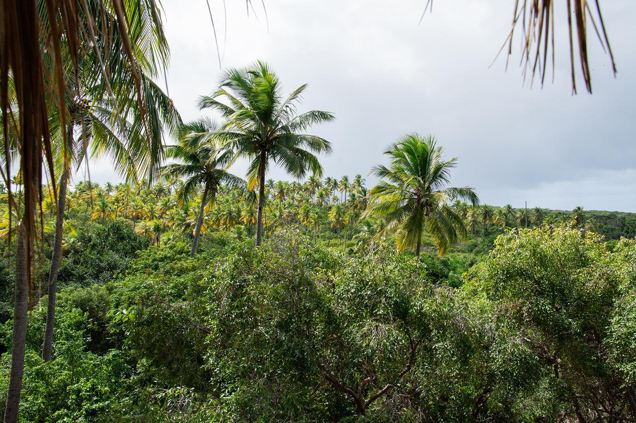 Vila Flor Eco Centro Diogo Eksteriør bilde